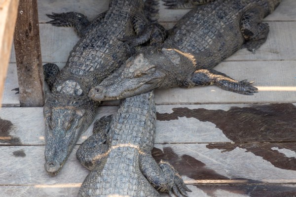 AD1A3432Final 7D Mk2