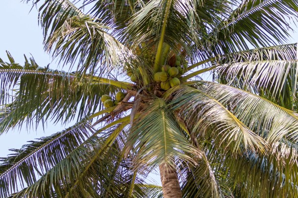 AD1A3647Final-7D-Mk2.jpg AD1A3647Final 7D Mk2