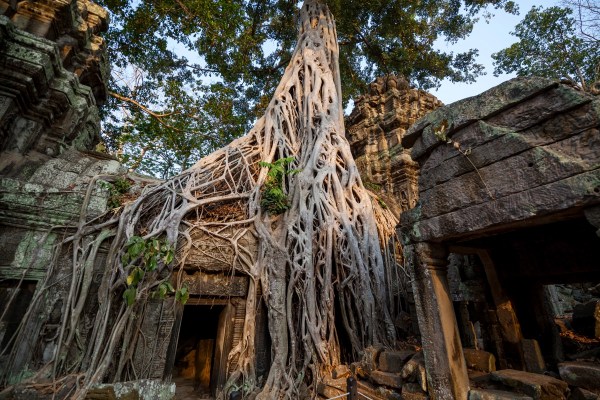 IMG 6860Final 5D Mk2