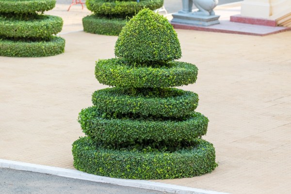 AD1A3725Final 7D Mk2