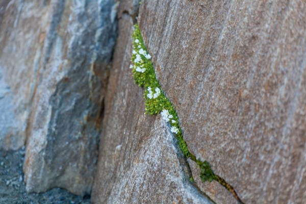 IMG 9230Final 5D Mk2