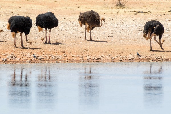 AD1A4380Final-7D-Mk2.jpg AD1A4380Final 7D Mk2