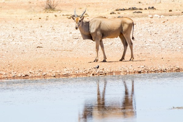 AD1A4385Final-7D-Mk2.jpg AD1A4385Final 7D Mk2