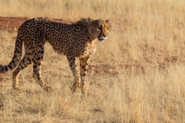 AD1A4447Final-7D-Mk2.jpg AD1A4447Final 7D Mk2