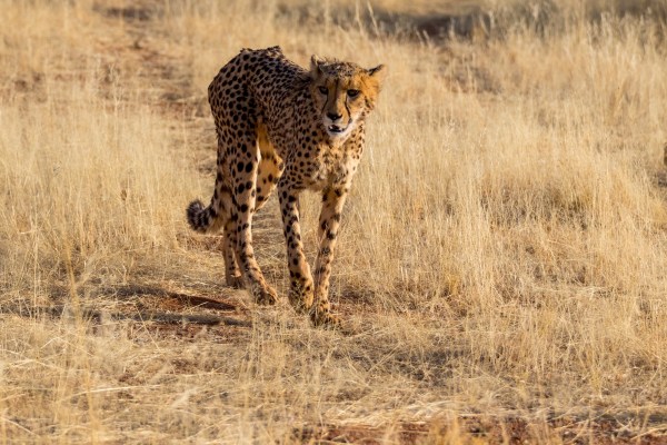 AD1A4449Final-7D-Mk2.jpg AD1A4449Final 7D Mk2