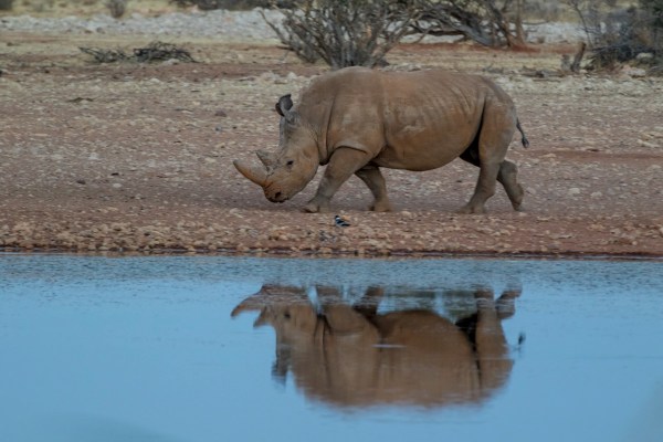 AD1A4530Final-7D-Mk2.jpg AD1A4530Final 7D Mk2