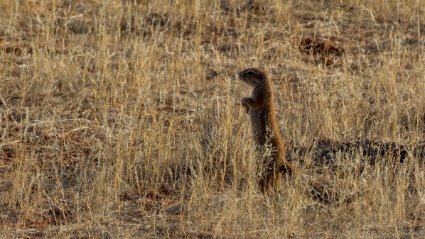 AD1A4555Final-7D-Mk2.jpg AD1A4555Final 7D Mk2