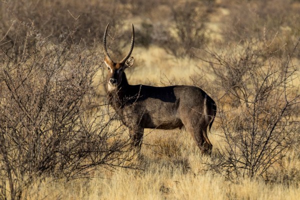 AD1A4564Final-7D-Mk2.jpg AD1A4564Final 7D Mk2