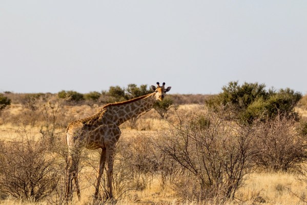 AD1A4570Final-7D-Mk2.jpg AD1A4570Final 7D Mk2