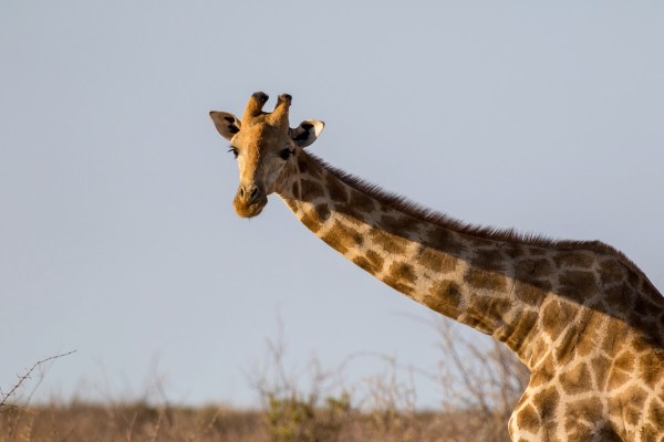 AD1A4593Final-7D-Mk2.jpg AD1A4593Final 7D Mk2