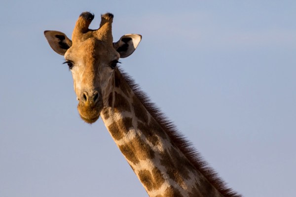 AD1A4614Final-7D-Mk2.jpg AD1A4614Final 7D Mk2