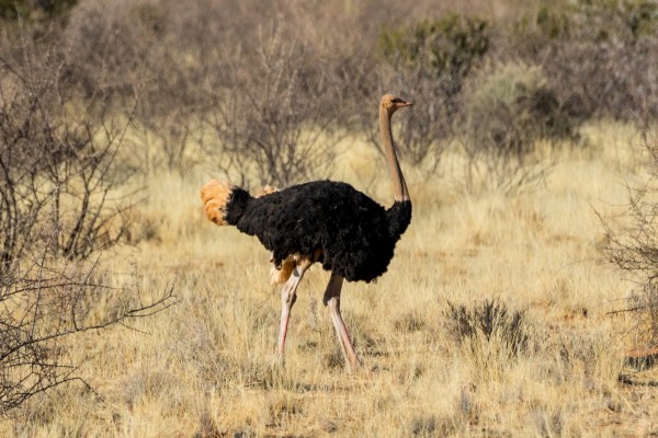 AD1A4644Final-7D-Mk2.jpg AD1A4644Final 7D Mk2