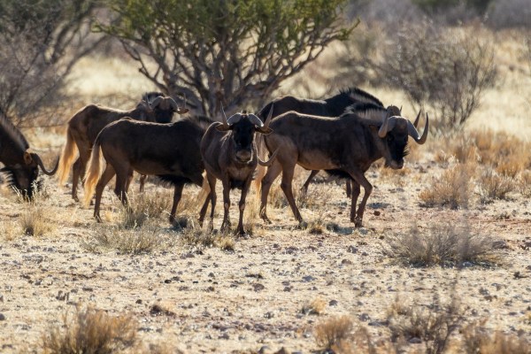 AD1A4670Final-7D-Mk2.jpg AD1A4670Final 7D Mk2