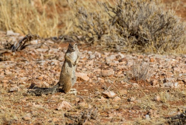 AD1A4675Final-7D-Mk2.jpg AD1A4675Final 7D Mk2