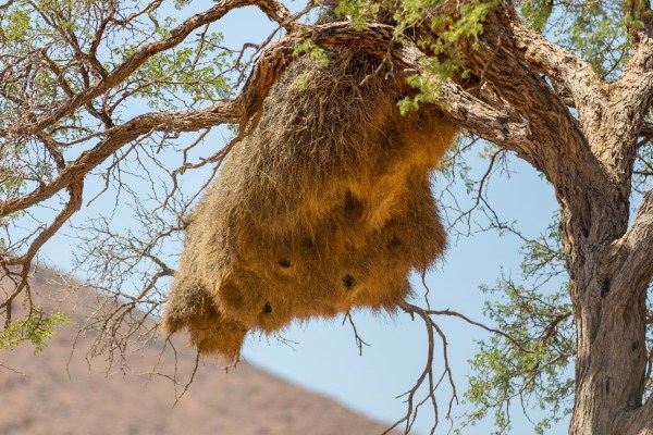 AD1A4686Final-7D-Mk2.jpg AD1A4686Final 7D Mk2