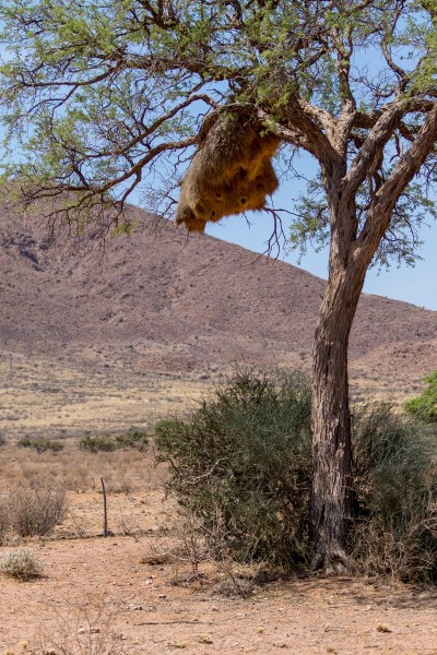 AD1A4688Final-7D-Mk2.jpg AD1A4688Final 7D Mk2