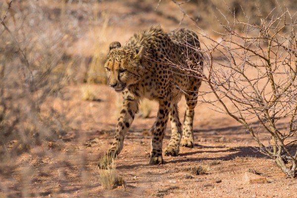 AD1A4713Final-7D-Mk2.jpg AD1A4713Final 7D Mk2