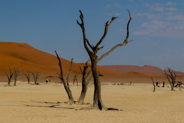 AD1A4801Final 7D Mk2