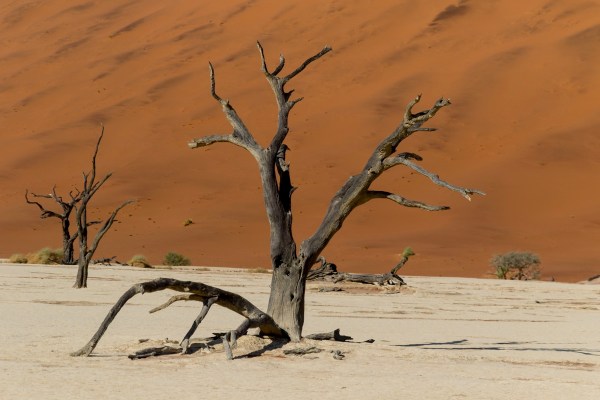 AD1A4804Final 7D Mk2