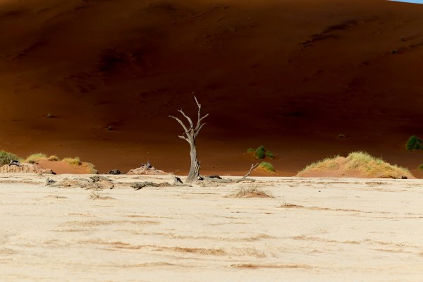 AD1A4809Final 7D Mk2