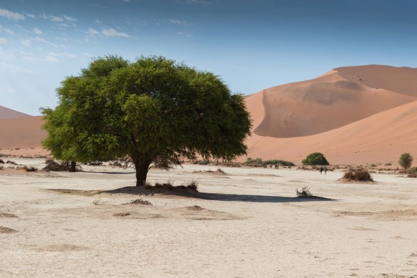 AD1A4822Final 7D Mk2