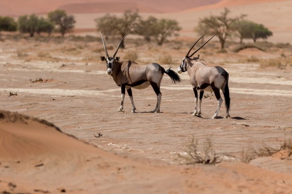 AD1A4830Final-7D-Mk2.jpg AD1A4830Final 7D Mk2