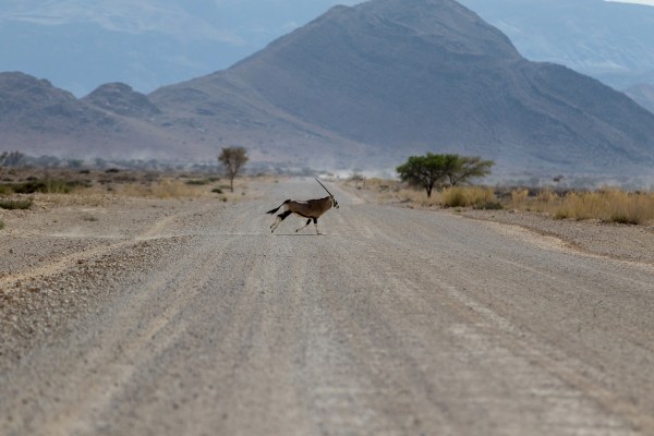 AD1A4850Final-7D-Mk2.jpg AD1A4850Final 7D Mk2