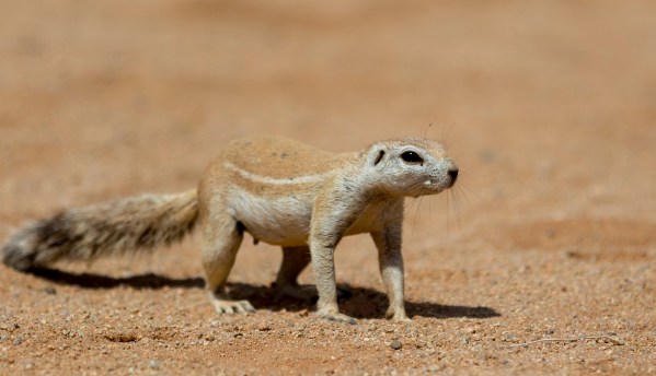 AD1A4874Final-7D-Mk2.jpg AD1A4874Final 7D Mk2