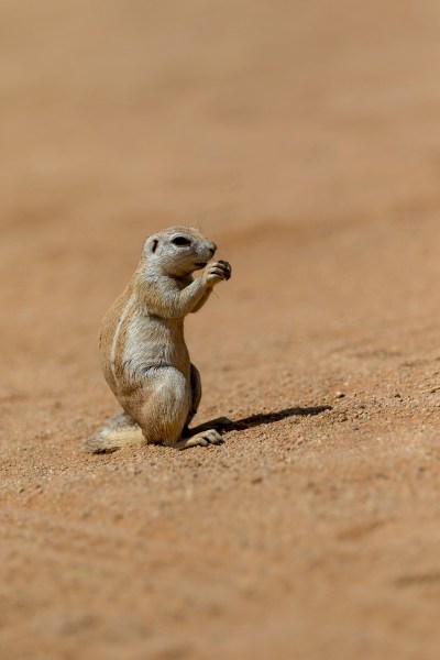 AD1A4907Final-7D-Mk2.jpg AD1A4907Final 7D Mk2