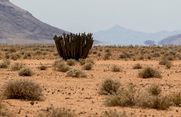 AD1A4912Final-7D-Mk2.jpg AD1A4912Final 7D Mk2