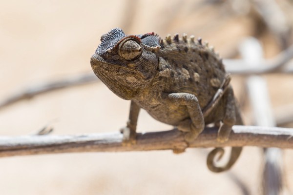 AD1A4964Final-7D-Mk2.jpg AD1A4964Final 7D Mk2