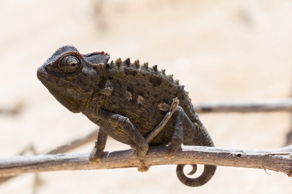 AD1A4972Final-7D-Mk2.jpg AD1A4972Final 7D Mk2