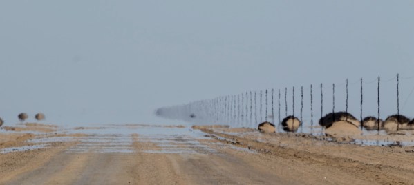 AD1A4980Final-7D-Mk2.jpg AD1A4980Final 7D Mk2