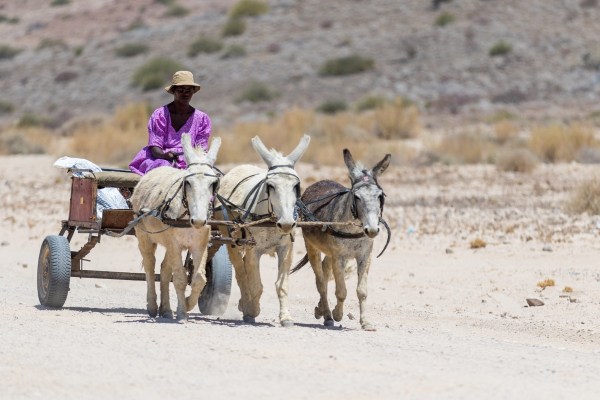 AD1A4988Final-7D-Mk2.jpg AD1A4988Final 7D Mk2