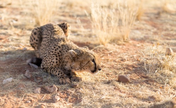 IMG_1556Final-5D-Mk3.jpg IMG 1556Final 5D Mk3