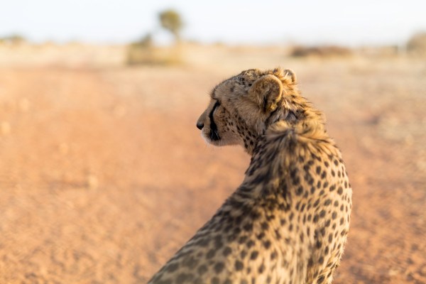 IMG_1569Final-5D-Mk3.jpg IMG 1569Final 5D Mk3