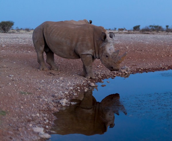 IMG_1582Final-5D-Mk3.jpg IMG 1582Final 5D Mk3