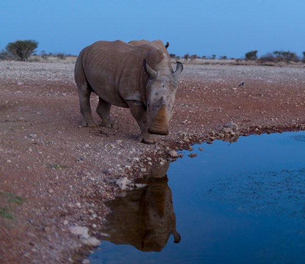 IMG_1584Final-5D-Mk3.jpg IMG 1584Final 5D Mk3