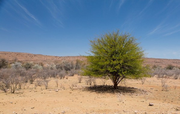 IMG_1638Final-5D-Mk3.jpg IMG 1638Final 5D Mk3