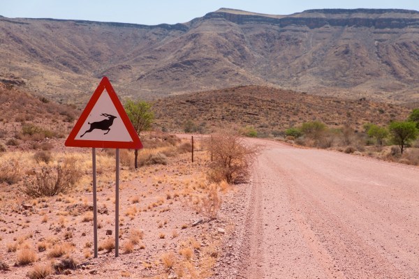 IMG_1665Final-5D-Mk3.jpg IMG 1665Final 5D Mk3