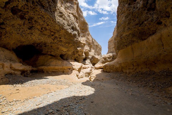 IMG_1894Final-5D-Mk3.jpg IMG 1894Final 5D Mk3