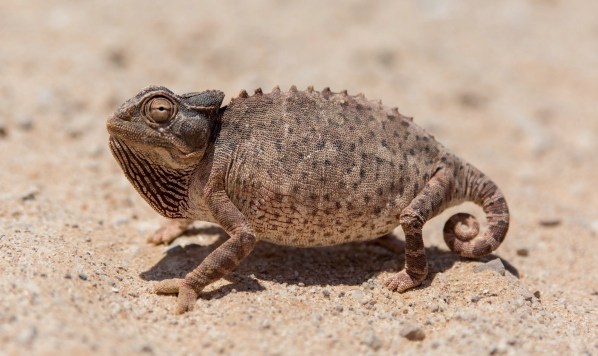 IMG_2037Final-5D-Mk3.jpg IMG 2037Final 5D Mk3