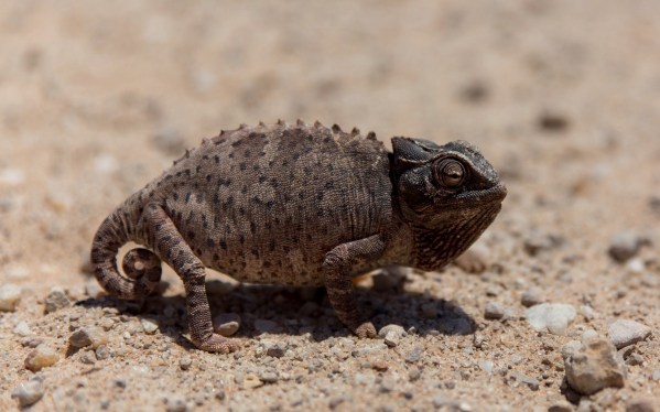 IMG_2043Final-5D-Mk3.jpg IMG 2043Final 5D Mk3