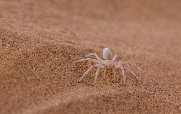 IMG_2073Final-5D-Mk3.jpg IMG 2073Final 5D Mk3