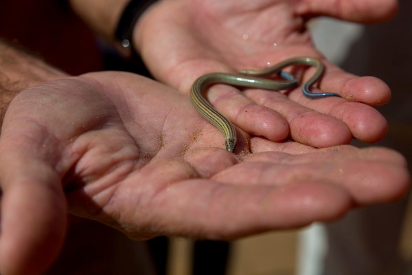 IMG_2076Final-5D-Mk3.jpg IMG 2076Final 5D Mk3