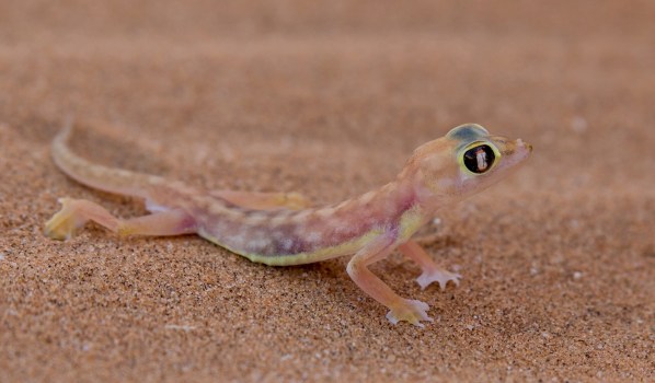 IMG_2087Final-5D-Mk3.jpg IMG 2087Final 5D Mk3