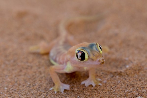 IMG_2096Final-5D-Mk3.jpg IMG 2096Final 5D Mk3