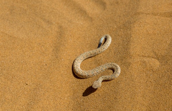 IMG_2104Final-5D-Mk3.jpg IMG 2104Final 5D Mk3