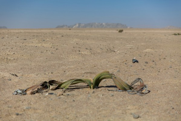 IMG_2167Final-5D-Mk3.jpg IMG 2167Final 5D Mk3