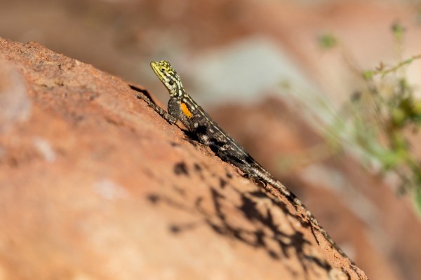 AD1A5030Final 7D Mk2